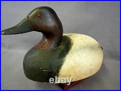 Oversized Canvasback Decoy by Wildfowler Co. Old Saybrook CT- Original Paint
