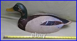 Oversized Mallard Drake with Lots of Original Paint, Branded Ed Chase, WIs