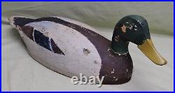 Oversized Mallard Drake with Lots of Original Paint, Branded Ed Chase, WIs