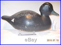 -pair Of Old Bluebill Duck Decoys, -all Orig. N. Y. Or Ontario Canada-no-res