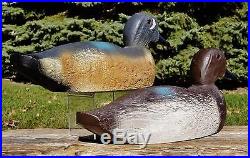 PRISTINE EXTREMELY RARE BW TEAL c1940 Animal Trap FACTORY #D-4 Wood Duck Decoy