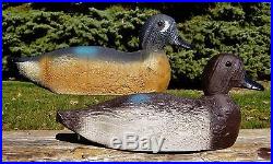 PRISTINE EXTREMELY RARE HEN TEAL c1940 Animal Trap FACTORY #D-4 Wood Duck Decoy