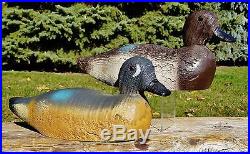 PRISTINE EXTREMELY RARE HEN TEAL c1940 Animal Trap FACTORY #D-4 Wood Duck Decoy