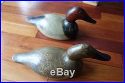Pair Evans decoys Canvasbacks From Ed Wojo's Collection