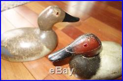Pair Evans decoys Canvasbacks From Ed Wojo's Collection