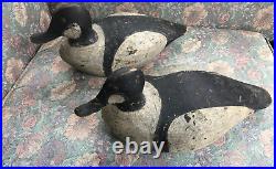 Pair Of Signed Working Duck Decoys Metal Eyes H. E. Tann From A Cape Cod Estate