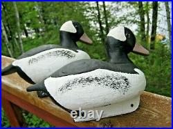 Pair Of Vintage Duck Decoys Bufflehead Drakes Signed Rl Gananoque, Ontario