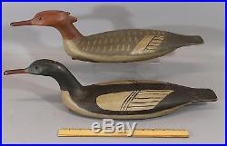 Pair Original Bob Biddle, Folk Art Carved & Painted Merganser Duck Decoys