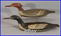 Pair Original Bob Biddle, Folk Art Carved & Painted Merganser Duck Decoys
