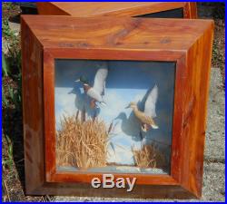 Pair of Duck Shadowboxes, hand painted/carved late 1940's from Chi V. L & A store
