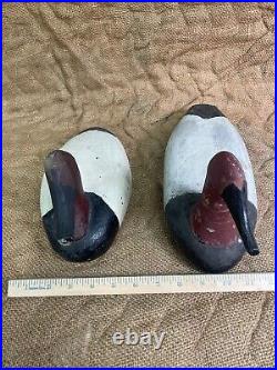 Pair of Vintage Canvasback Wooden Duck Decoys with Weights