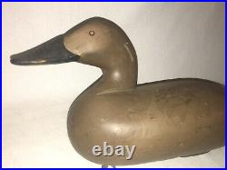Paul Gibson Canvasback Hen Duck Decoy Vintage Havre De Grace MD