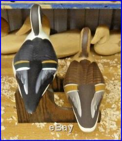 Pintail Decoys by Havre de Grace Maryland Carver Dave Walker