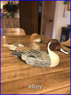 Pintail Hen & Drake Hand Carved, Painted and Signed Duck Decoys