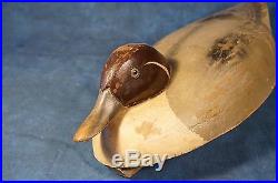 Pintail Pair Wildfowler Quogue Decoy Branded
