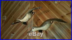 Pintails flyers, duck decoy, fish decoy, hunting collectible