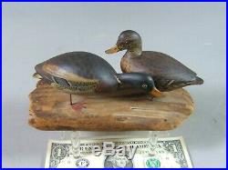 Pr. Elmer Crowell miniature mallard duck decoy East Harwich Mass. Ca. 1910