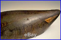 Pre-1900 Hollow Green-winged Teal Drake Duck Hunting Decoy Decoys Ontario Canada