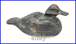 RARE ANTIQUE 1920's FRANKIE LOUIS (1878-1964) BLUEBILL DRAKE DUCK HUNTING DECOY