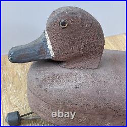 RARE Antique 1920s 12 Greater Scaup Duck Hollow Wood Carved Decoy Bufflehead D6