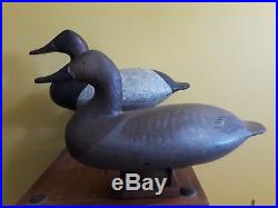 RARE Mint Rigmate Pair of High Head Canvasback Decoys by Will Heverin MD VA