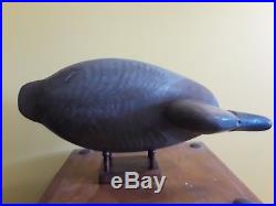 RARE Mint Rigmate Pair of High Head Canvasback Decoys by Will Heverin MD VA