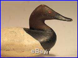RARE Vintage Canvasback Drake Duck Decoy by Scott Jackson ca 1900 Branded J. H