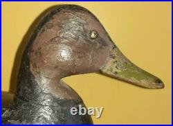 RARE Vintage c1890 Harry V Shourds Black Duck Decoy Tuckerton New Jersey NJ