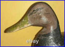 RARE Vintage c1890 Harry V Shourds Black Duck Decoy Tuckerton New Jersey NJ