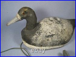 Rare Antique 1930's Fred Bins Wooden Bluebill Duck Decoy Glass Eyes Green Bay WI