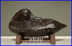 Rare Antique Carved Wood Sleeping Bluebill Duck Decoy By William Pratt