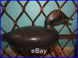 Rare Antique Duck Decoy with Original Paint Hand Carved Realistic One Piece