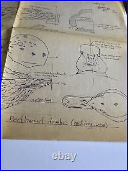Rare- Duck Decoy Pattern by Beau Payton 1989 Redhead Drake