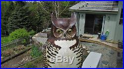 Rare Folk Art Carved Great Horned Owl Decoy Plus Crow Decoys And Crow Call