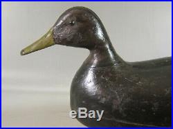 Rare Harry Shourds large black duck decoy Tuckerton, N. J. Ca. 1890 branded LUDLAM