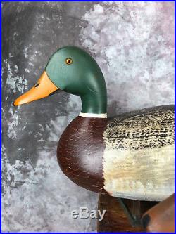 Rare Hollow Mallard Pair by Charles Buchanan Duck Decoys From His Personal Rig