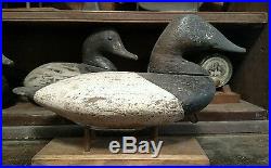 Rare John Graham Upper Chesapeake Bay Canvasback Duck Decoy Circa 1870s
