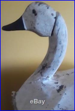 Rare Ned Burgess Canvas-Over-Wire Swan Decoy OP Duck Goose Shorebird NC VA MD NJ