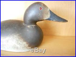 Rare Special Order Mason Premier Grade Hen Canvasback Duck Decoy Original Paint