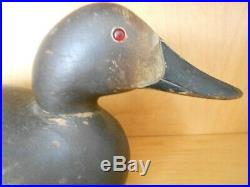 Rare Special Order Mason Premier Grade Hen Canvasback Duck Decoy Original Paint