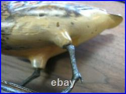 Rare Standing Tom Taber Woodcock Decoy / Wood Carved Timberdoodle / Excellent