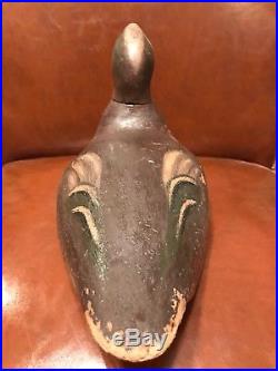 Rare Widgeon Duck Decoy from Nantucket, Carved by Pittman, Antique, Collectible