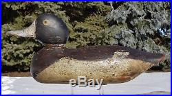 SCARCE PAINTED-EYE HEN BLUEBILL or BROADBILL c1905 MASON FACTORY Wood Duck Decoy