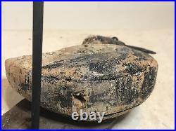 Shorebird decoy black bellied plover antique cork