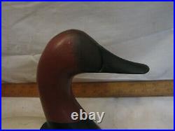 Signed Butch Parker Wooden Canvasback Drake Duck Decoy Hunting Bird Holtwood PA
