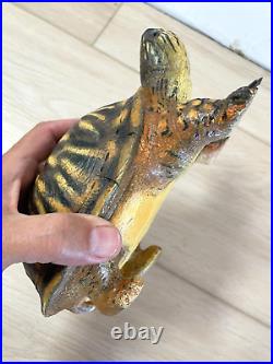 Spectacular Box Turtle Wood Carving Statue Folk Art by Casey Edwards Duck Decoy
