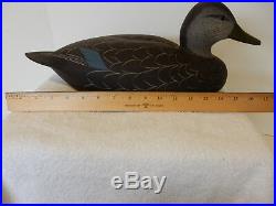 Spectacular Vintage Wood Black Duck Decoy By Strunk & Birdsall New Jersey O/p