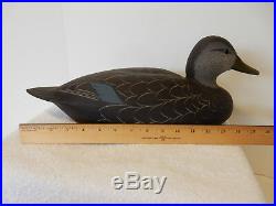 Spectacular Vintage Wood Black Duck Decoy By Strunk & Birdsall New Jersey O/p