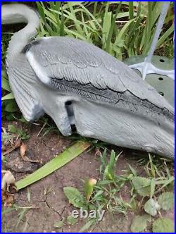 Stuffed Gray Heron decoy