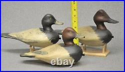 TRIO (3) of East Coast style DIVER DUCK decoys canvasback, red head, blue bill